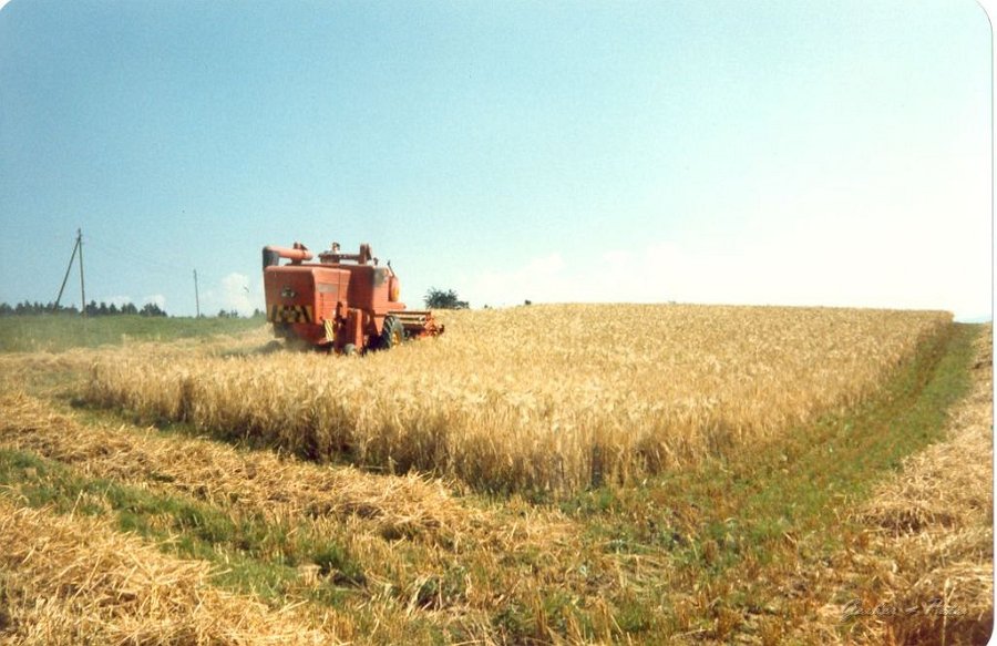 MF Drescher 18
